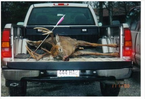 Archery Hunts Photo